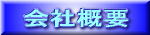 ЊTv